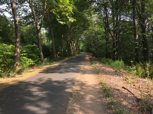 Happiness is a quiet, shady trail...